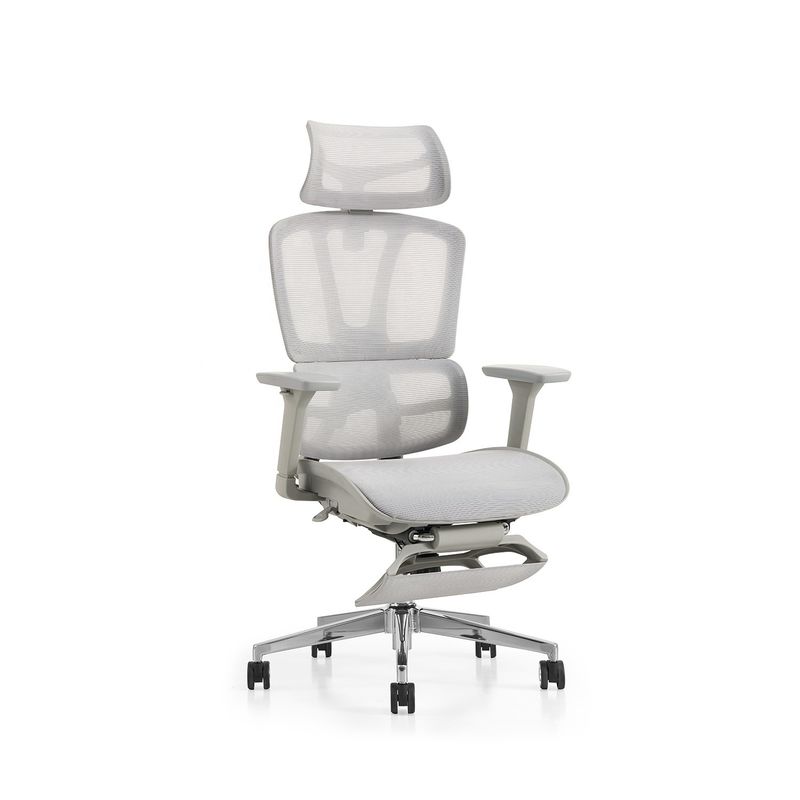 Διορθώσιμο ύψος Ergo Executive Mesh Office Chair με στήριξη οσφυϊκής στήριξης