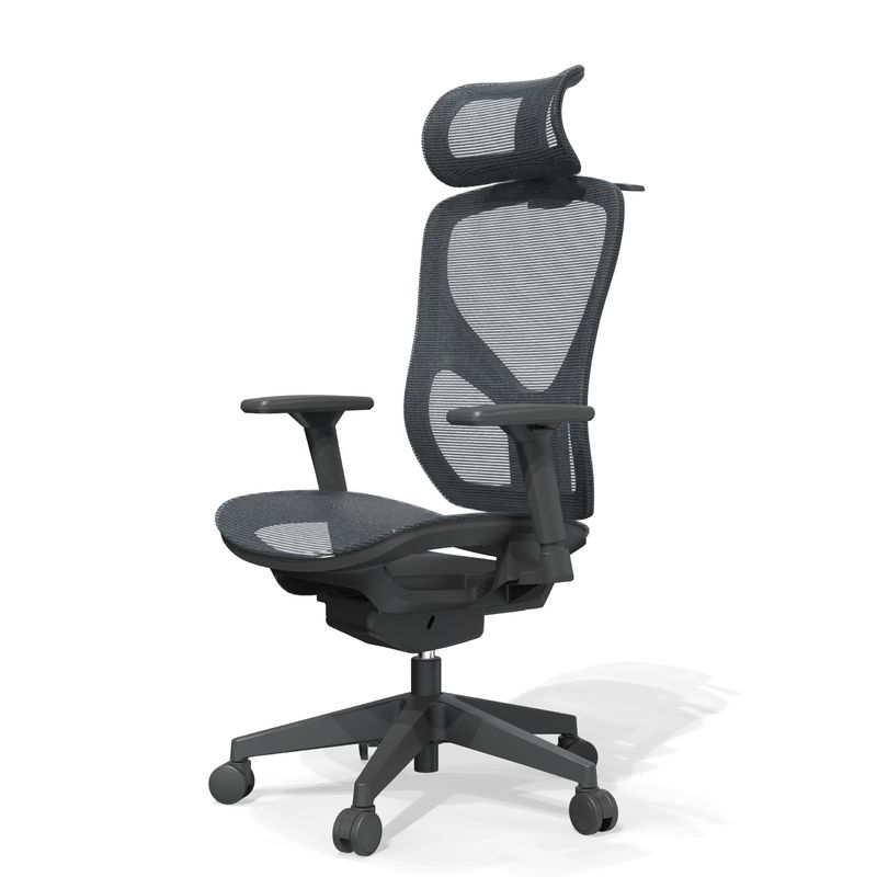 Ρυθμίσιμη ύψος Full Mesh Εργονομική καρέκλα γραφείου με σύγχρονο στυλ σχεδιασμού για το Guangdong