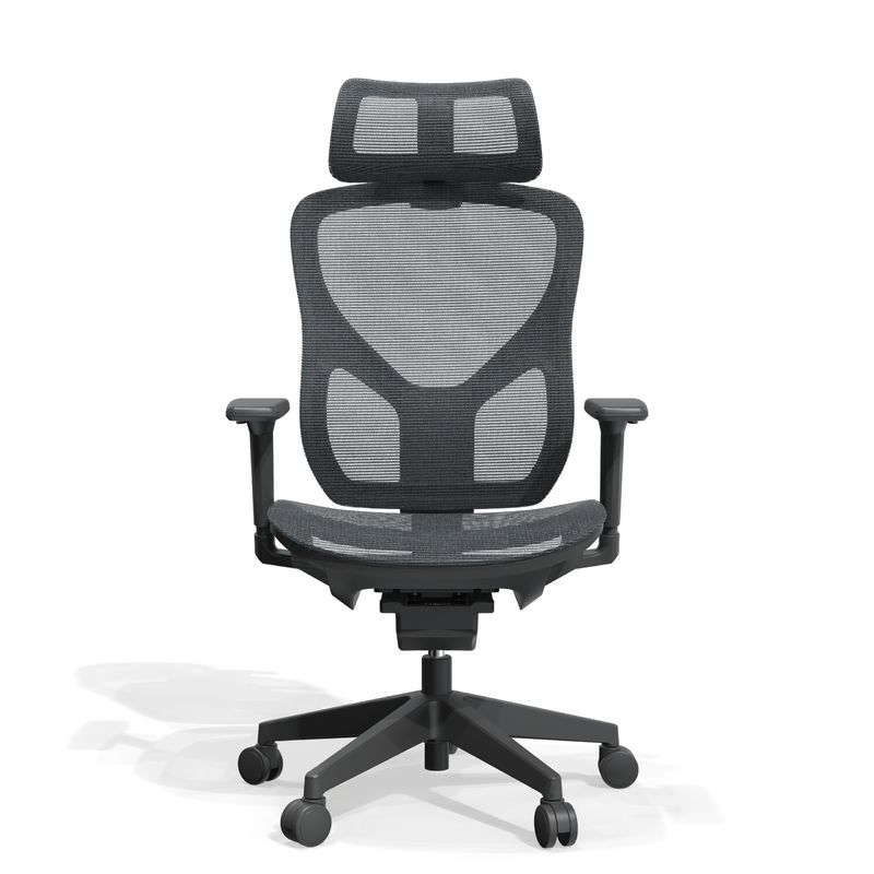 Ρυθμίσιμη ύψος Full Mesh Εργονομική καρέκλα γραφείου με σύγχρονο στυλ σχεδιασμού για το Guangdong