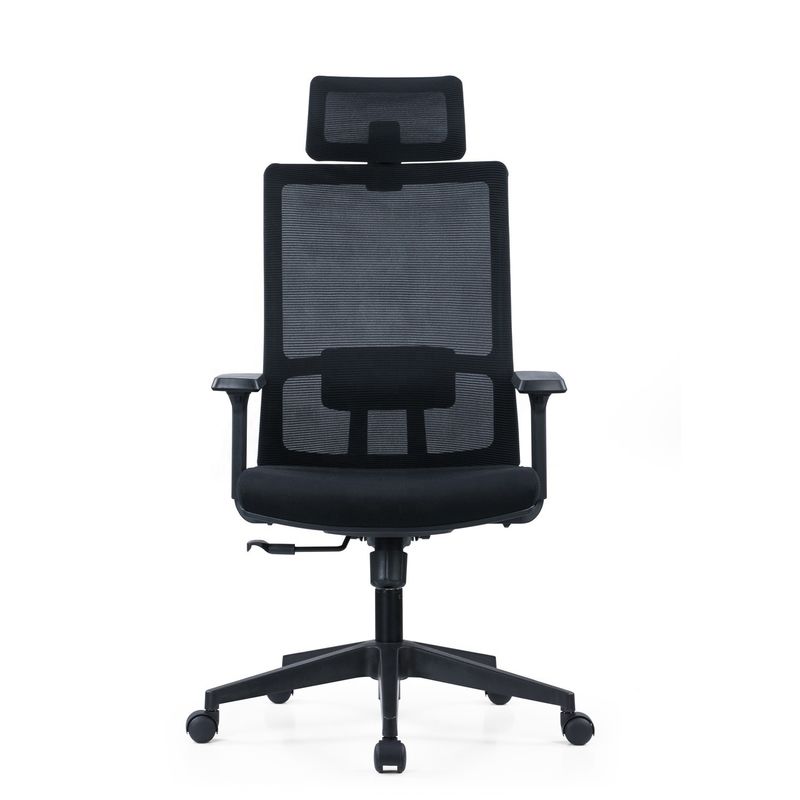 Λούξυ Executive Computer Desk Office Chair Ρυθμίσιμο εργονομικό σχεδιασμό για ανώτερα αφεντικά